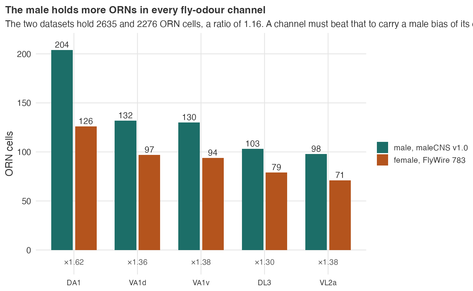 Paired bars of ORN cell counts for the five fly-odour glomeruli, male against female.