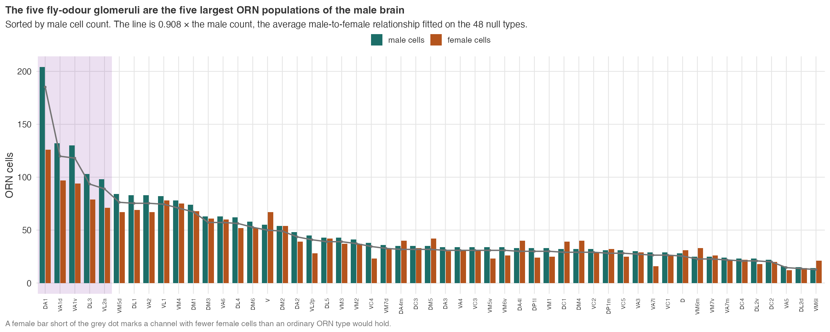Paired male and female cell counts for all 53 ORN types, sorted by male count, with the average line over the female bars.